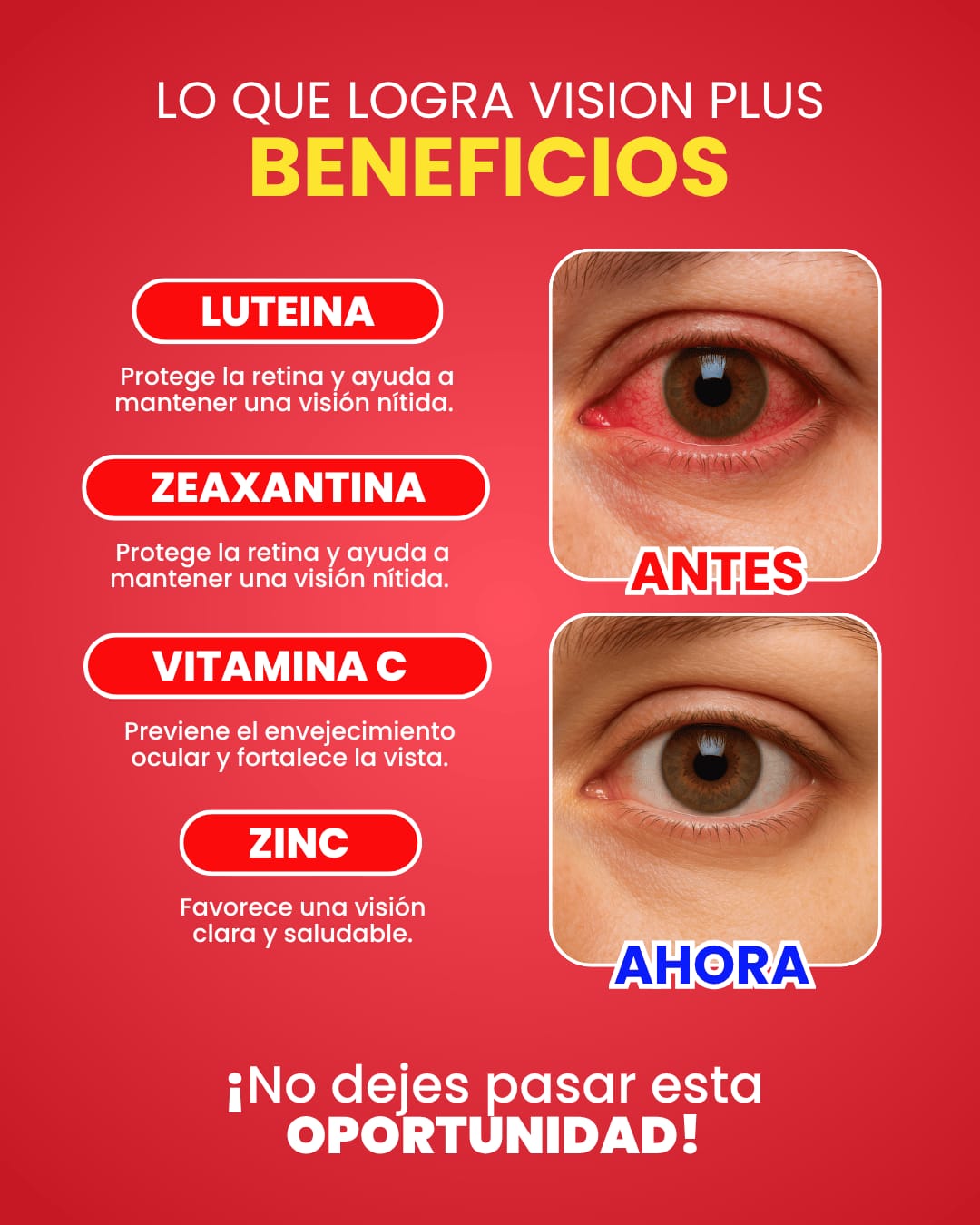 Visión PLUS